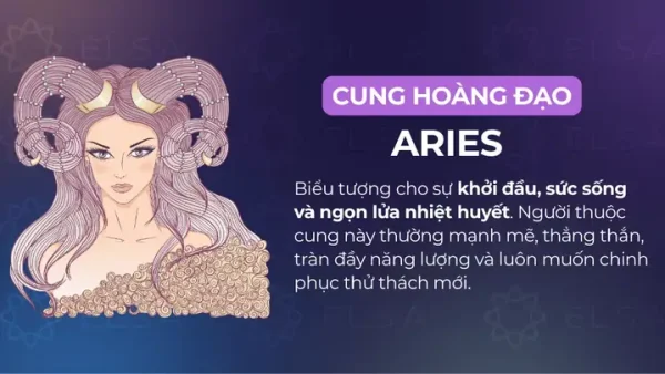 Giải Nghĩa “ấm Cúng” Trong Tiếng Anh: Cozy, Homely Hay Warm?