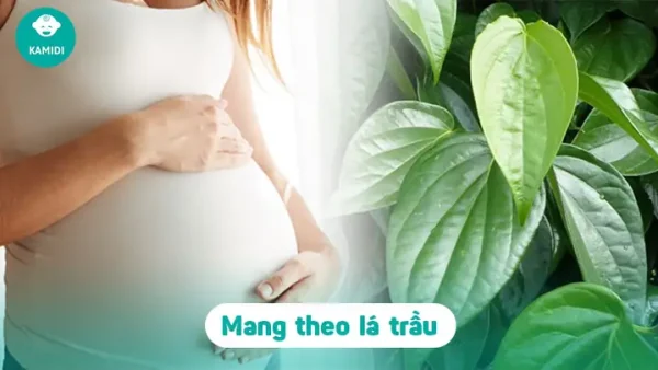 Bà Bầu Có Được Dự Lễ Tang, Đám Ma Không? Những Lưu Ý Cho Mẹ Mang Thai