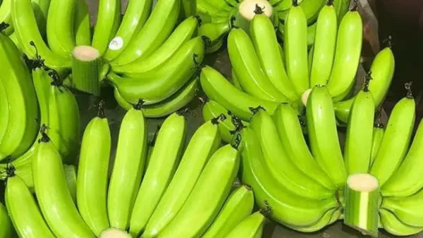 Bà Nội Chọn Mua Trái Cây Cúng Tết: Nên Chọn Quả Nào Và Bày Thế Nào?