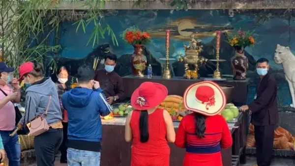 Bài Cúng Dinh Thầy Thím: Văn Khấn Mẫu, Lễ Vật Và Cách Cúng Đúng Nghi Thức