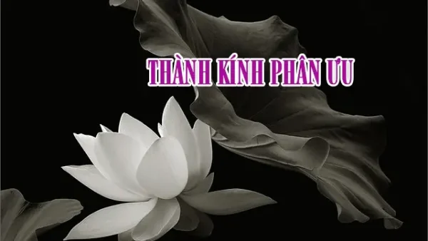 Hướng Dẫn Cách Viết Bao Thư Cúng Điếu (phong Bì Phúng Viếng) Chuẩn Lễ Nghĩa: Mẫu Theo Vai Vế, Lời Viếng & Lưu Ý Tiền Phúng