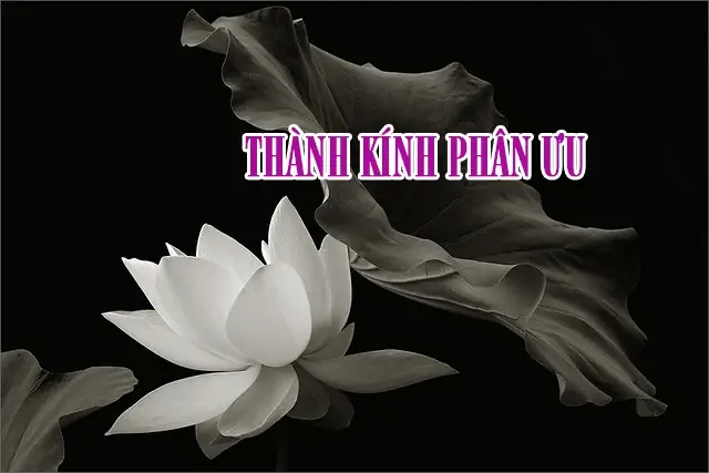 Hướng Dẫn Cách Viết Bao Thư Cúng Điếu (phong Bì Phúng Viếng) Chuẩn Lễ Nghĩa: Mẫu Theo Vai Vế, Lời Viếng & Lưu Ý Tiền Phúng Hướng Dẫn Cách Viết Bao Thư Cúng Điếu (phong Bì Phúng Viếng) Chuẩn Lễ Nghĩa: Mẫu Theo Vai Vế, Lời Viếng & Lưu Ý Tiền Phúng