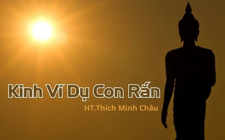 Pháp Cúng Dường Là Gì? Ý Nghĩa Và Cách Thực Hành Theo Kinh Phân Biệt Cúng Dường Pháp Cúng Dường Là Gì? Ý Nghĩa Và Cách Thực Hành Theo Kinh Phân Biệt Cúng Dường