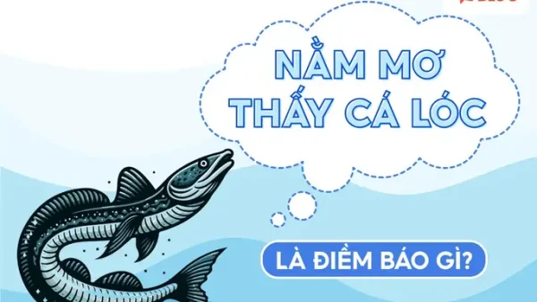 Ăn Cơm Bị Sặc Là Điềm Báo Gì Hay Dấu Hiệu Cảnh Báo Bệnh Lý Về Đường Thở?