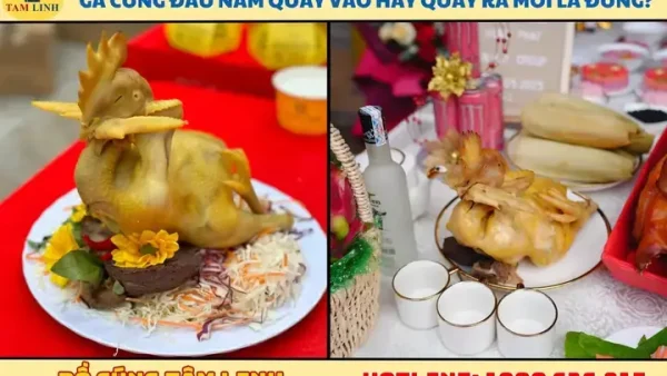 Cách Bài Trí Gà Cúng Đầu Năm Chuẩn Phong Tục: Hướng Quay, Tạo Dáng Và Vị Trí Đặt