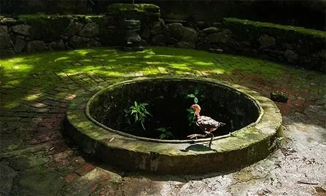 Bài Khấn Cúng Giếng Hay Rằm Tháng Giêng? Mẫu Đầy Đủ Và Lễ Vật Bài Khấn Cúng Giếng Hay Rằm Tháng Giêng? Mẫu Đầy Đủ Và Lễ Vật