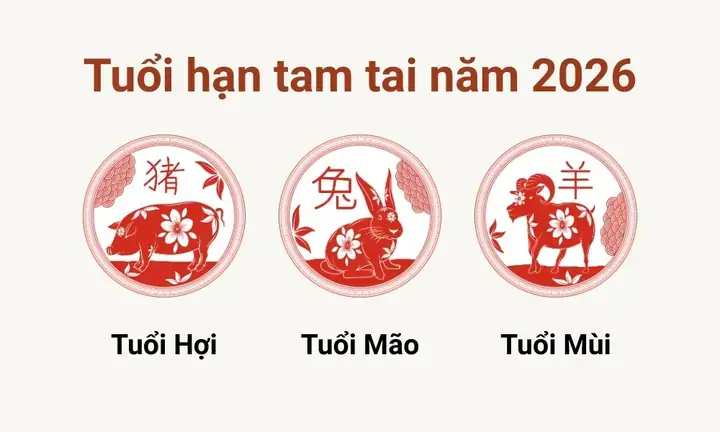 Bài Vị Cúng Tam Tai Năm Đinh Dậu: Hướng Dẫn Chọn, Bày Trí Và Thực Hiện Bài Vị Cúng Tam Tai Năm Đinh Dậu: Hướng Dẫn Chọn, Bày Trí Và Thực Hiện