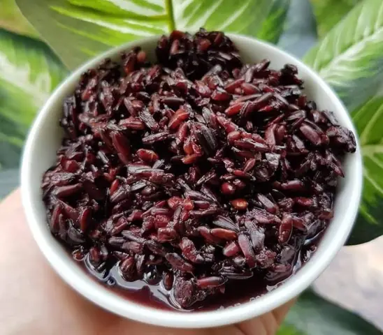 Bánh Ú Cúng Mùng 5: Ý Nghĩa, Cách Làm Và Bày Biện 1 Bánh Ú Cúng Mùng 5: Ý Nghĩa, Cách Làm Và Bày Biện