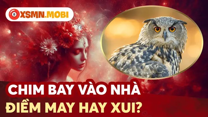 Ý Nghĩa Tốt Lành Khi Bắt Được Các Loại Chim Quý Hoặc Chim Bay Vào Nhà Ý Nghĩa Tốt Lành Khi Bắt Được Các Loại Chim Quý Hoặc Chim Bay Vào Nhà