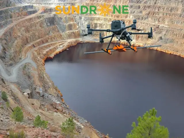 Nhận Biết Bọ Cánh Cứng Khỏe Mạnh: Dấu Hiệu, Sức Mạnh Và Cách Nuôi
