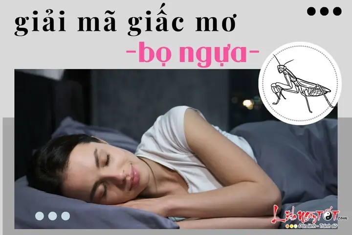 Bọ Ngựa Vào Nhà Báo Hiệu Điều Gì Về Công Việc Và Tài Lộc? Bọ Ngựa Vào Nhà Báo Hiệu Điều Gì Về Công Việc Và Tài Lộc?