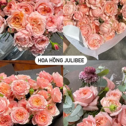 Giá Bán Lẻ Bông Cúng Tươi Hôm Nay: Một Cành, Một Bó Bao Nhiêu?