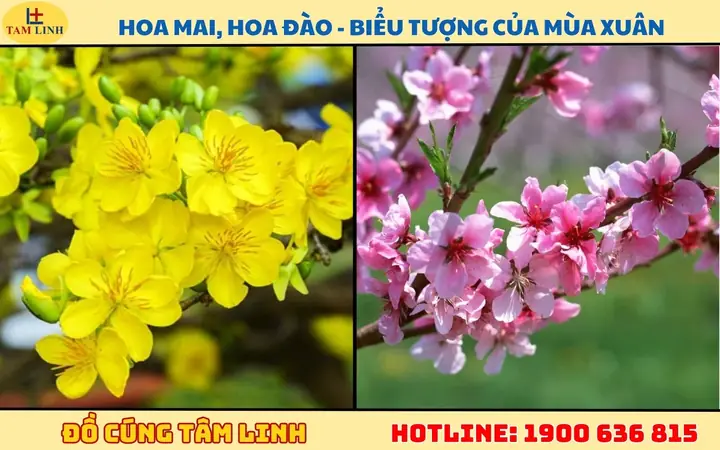 Bông Cúng Tất Niên Nên Mua Hoa Nào? 10+ Loại Đẹp, Dễ Chọn Bông Cúng Tất Niên Nên Mua Hoa Nào? 10+ Loại Đẹp, Dễ Chọn
