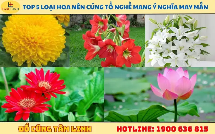 Bông Gì Cúng Cho Ông Tổ Nghề Trang Điểm? Loại Hoa Nên Chọn, Ý Nghĩa Và Cách Cắm Bông Gì Cúng Cho Ông Tổ Nghề Trang Điểm? Loại Hoa Nên Chọn, Ý Nghĩa Và Cách Cắm