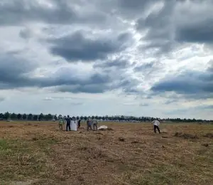 Bứng Gốc Cây Có Cần Cúng Không? Giải Đáp Tín Ngưỡng & Kỹ Thuật Giữ Cây Sống 100% Bứng Gốc Cây Có Cần Cúng Không? Giải Đáp Tín Ngưỡng & Kỹ Thuật Giữ Cây Sống 100%