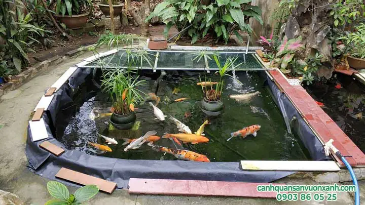 Môi Trường Nước Và Chế Độ Dinh Dưỡng Ảnh Hưởng Ra Sao Đến Sức Khỏe Của Cá? Môi Trường Nước Và Chế Độ Dinh Dưỡng Ảnh Hưởng Ra Sao Đến Sức Khỏe Của Cá?