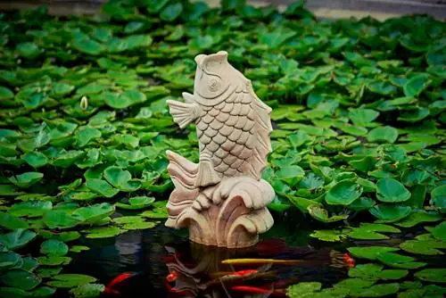 Hiện Tượng Cá Chết Hàng Loạt Trong Nhà Mang Ý Nghĩa Phong Thủy Nào? Hiện Tượng Cá Chết Hàng Loạt Trong Nhà Mang Ý Nghĩa Phong Thủy Nào?