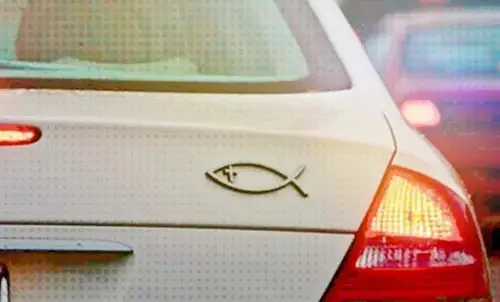 Cá Rô Vào Nhà Là Điềm Gì? Giải Mã Điềm Báo Tâm Linh, Phong Thủy Và Cách Hóa Giải Chính Xác