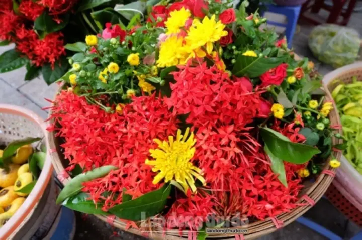 Cách Bày Hoa Cúng Mồng Một: Chọn Hoa, Cắm Hoa Và Những Điều Cần Tránh Cách Bày Hoa Cúng Mồng Một: Chọn Hoa, Cắm Hoa Và Những Điều Cần Tránh