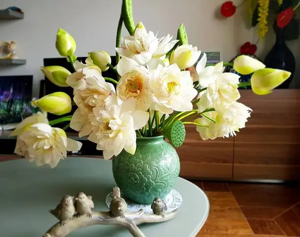 Cách Bày Hoa Cúng Mồng Một: Chọn Hoa, Cắm Hoa Và Những Điều Cần Tránh Cách Bày Hoa Cúng Mồng Một: Chọn Hoa, Cắm Hoa Và Những Điều Cần Tránh