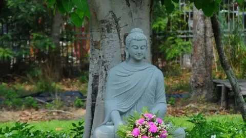Hướng Dẫn Chi Tiết Cách Cúng Sám Hối Khi Phá Thai Tại Nhà: Nghi Thức, Văn Khấn, Kinh Chú Và Lưu Ý Quan Trọng