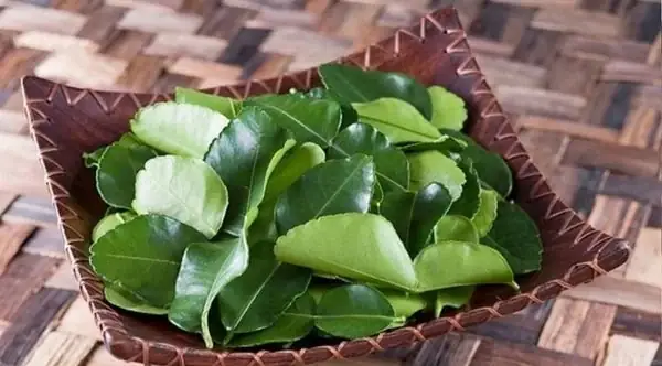 Cách Cúng Tẩy Uế Cửa Hàng: Đốt Via, Xông Tẩy Và Bài Khấn Xả Xui Cho Chủ Shop Cách Cúng Tẩy Uế Cửa Hàng: Đốt Via, Xông Tẩy Và Bài Khấn Xả Xui Cho Chủ Shop