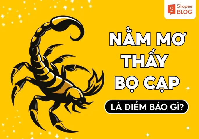 Cách Để Ngủ Không Mơ Thấy Ác Mộng Tâm Linh An Toàn Và Hiệu Quả Nhất