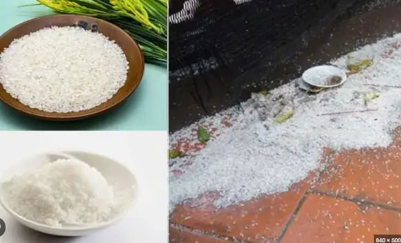 Cách Đuổi Ma Sau Khi Cúng Chúng Sinh: Rải Gạo Muối Đúng Cách
