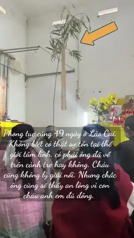 Cách Làm Cành Phan Cúng Từng Bước: Chọn Cành, Tạo Khung Và Gắn Lá Phan Cách Làm Cành Phan Cúng Từng Bước: Chọn Cành, Tạo Khung Và Gắn Lá Phan