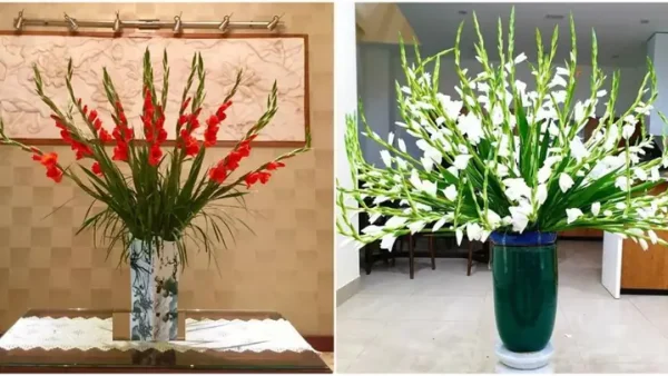 Cách Làm Hoa Cúng Tết Đẹp Cho Bàn Thờ: Hướng Dẫn Cắm Hoa Và Giữ Tươi