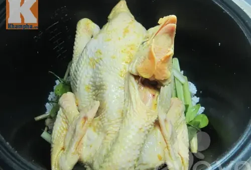 Cách Luộc Gà Cho Cúng Và Nấu Cháo: Vàng Đẹp, Chín Đều, Không Nứt Da