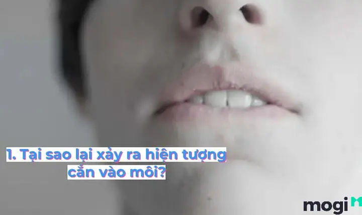 Những Con Số May Mắn Nào Thường Liên Quan Đến Hiện Tượng Cắn Môi? Những Con Số May Mắn Nào Thường Liên Quan Đến Hiện Tượng Cắn Môi?