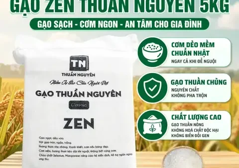 Cây Cao Bóng Cả Cúng Cơm Là Gì? Ý Nghĩa, Cách Thực Hiện Và Lời Khấn