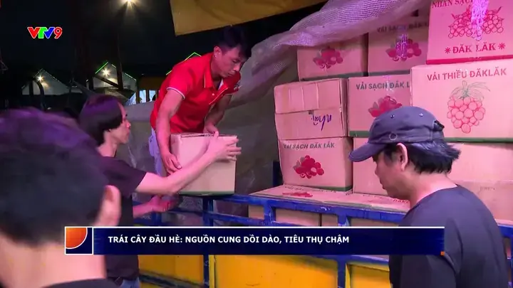 Cây Thoại Bông Cúng: Ý Nghĩa, Cách Chọn Hoa Và Cách Cắm Cây Thoại Bông Cúng: Ý Nghĩa, Cách Chọn Hoa Và Cách Cắm