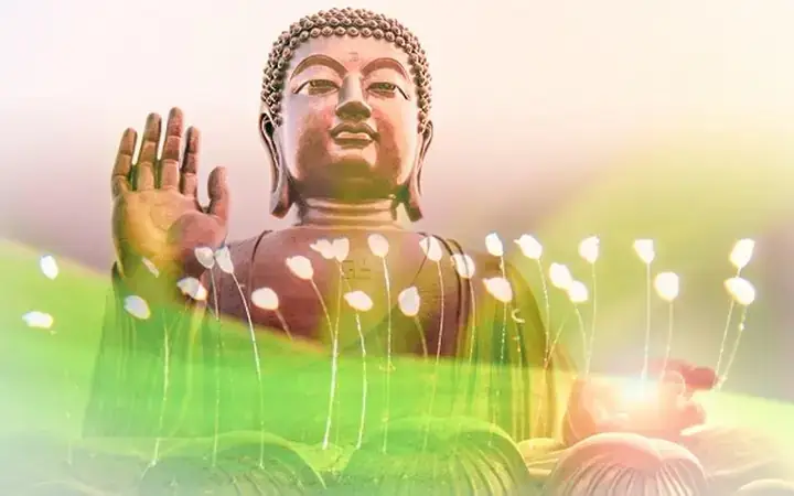 Vì Sao Việc Nhìn Thấy Hoa Ưu Đàm Được Xem Là Mang Lại May Mắn? Vì Sao Việc Nhìn Thấy Hoa Ưu Đàm Được Xem Là Mang Lại May Mắn?