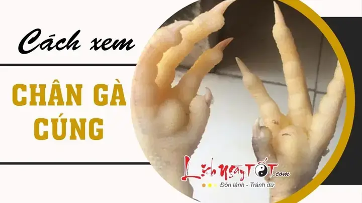 Chân Gà Cúng Xong Cất Đâu? Cách Giữ Để Xem Và Bảo Quản An Toàn
