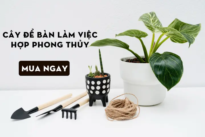 Cháy Bát Hương Thần Tài Là Điềm Lành Hay Dữ Theo Phong Thủy?
