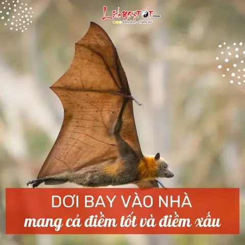 Chim Bay Vào Nhà Là Điềm Gì? Giải Mã Ý Nghĩa Cát Hung Và Cách Xử Lý Phong Thủy Chim Bay Vào Nhà Là Điềm Gì? Giải Mã Ý Nghĩa Cát Hung Và Cách Xử Lý Phong Thủy