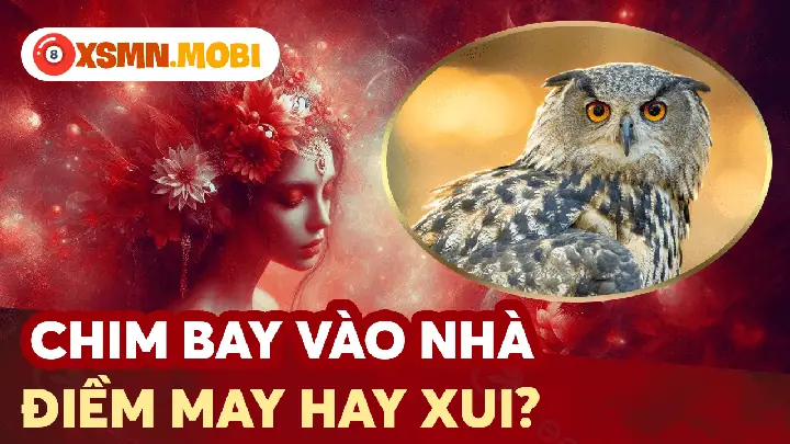 Điềm Báo Từ Các Loài Chim Quý Mang Tin Vui Đến Nhà Điềm Báo Từ Các Loài Chim Quý Mang Tin Vui Đến Nhà