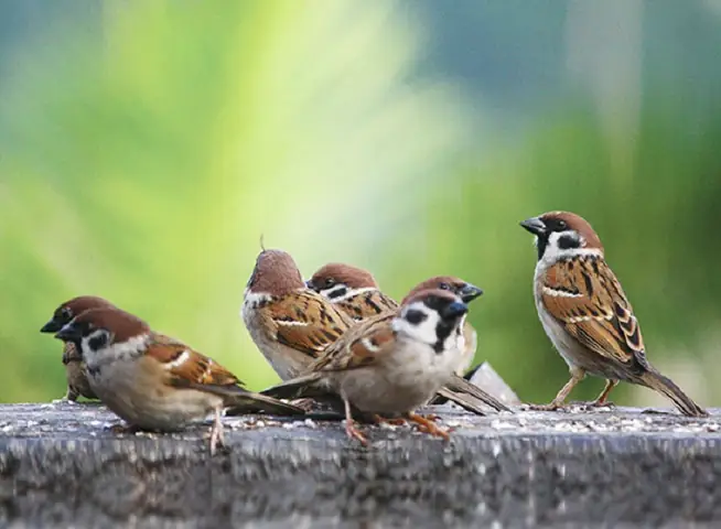 Những Hiểu Lầm Phổ Biến Cần Tránh Khi Gặp Hiện Tượng Tâm Linh Này Những Hiểu Lầm Phổ Biến Cần Tránh Khi Gặp Hiện Tượng Tâm Linh Này