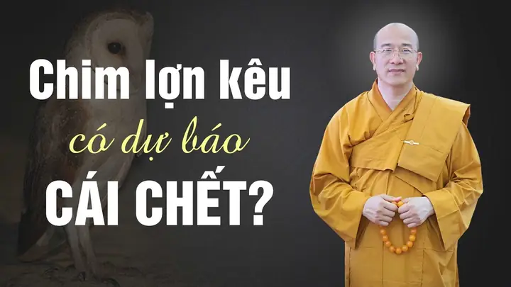 Tác Động Tâm Lý Của Âm Thanh Ban Đêm Đối Với Con Người Tác Động Tâm Lý Của Âm Thanh Ban Đêm Đối Với Con Người