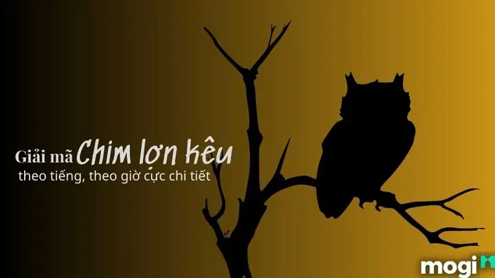 Góc Nhìn Khoa Học Và Tâm Lý Học Về Hiện Tượng Chim Kêu Báo Hiệu Điềm Gở Góc Nhìn Khoa Học Và Tâm Lý Học Về Hiện Tượng Chim Kêu Báo Hiệu Điềm Gở