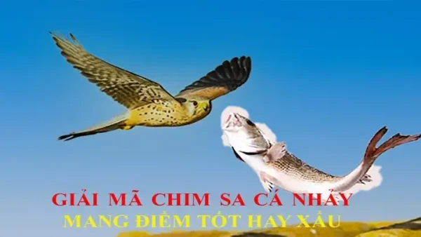 Chim Sa Điềm Báo Gì? Giải Mã Hiện Tượng Tâm Linh Và Thực Tế