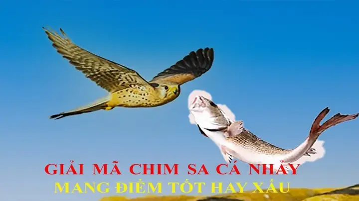 Bài Học Rút Ra Từ Câu Râm Ngôn Cổ 'chim Sa Tận Nơi Không Bắt, Cá Nhảy Tận Bờ Không Ăn' Là Bài Học Rút Ra Từ Câu Râm Ngôn Cổ 'chim Sa Tận Nơi Không Bắt, Cá Nhảy Tận Bờ Không Ăn' Là