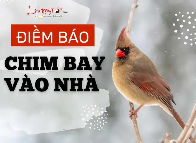 Chim Sâu Đậu Cửa Sổ Hót Vang Báo Hiệu Tin Vui Chim Sâu Đậu Cửa Sổ Hót Vang Báo Hiệu Tin Vui