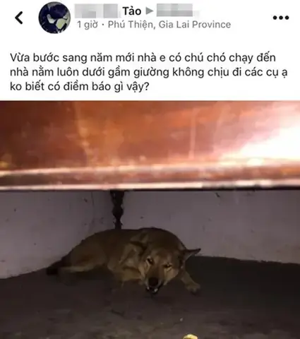 Nhu Cầu Tìm Không Gian Ấm Áp, Dễ Chịu Và Giảm Căng Thẳng Nhu Cầu Tìm Không Gian Ấm Áp, Dễ Chịu Và Giảm Căng Thẳng