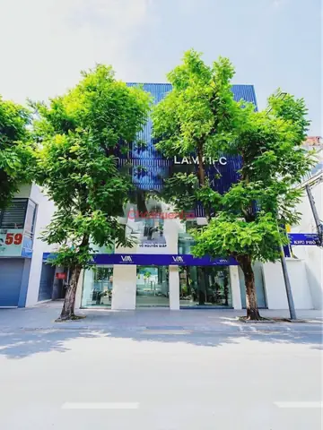 Chó Lông Đen Hoặc Chó Gầy Yếu Đi Theo Có Đáng Lo Ngại Không? Chó Lông Đen Hoặc Chó Gầy Yếu Đi Theo Có Đáng Lo Ngại Không?