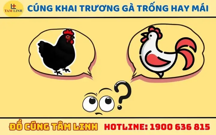 Cách Chọn Gà Cúng Đầu Năm Chuẩn Phong Thủy, Đúng Lễ Nghi: Gà Trống Hay Mái, Hướng Đặt, Tiêu Chuẩn Đẹp Điềm