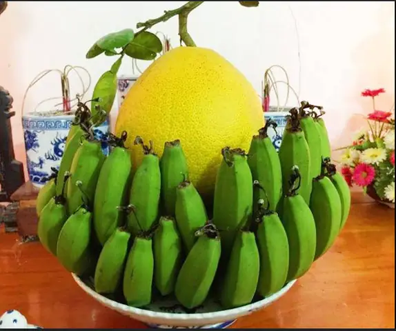 Chuối Xanh Hay Chuối Chín Cúng Cúng Đúng Phép? Cách Chọn Nải Đẹp, Ý Nghĩa Phong Thủy & Kỵ忌 Cần Tránh Chuối Xanh Hay Chuối Chín Cúng Cúng Đúng Phép? Cách Chọn Nải Đẹp, Ý Nghĩa Phong Thủy & Kỵ忌 Cần Tránh