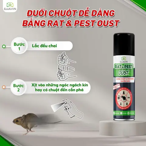 Mẹo Bịt Kín Các Khe Hở Và Đường Đi Của Chuột Trên Trần Thạch Cao